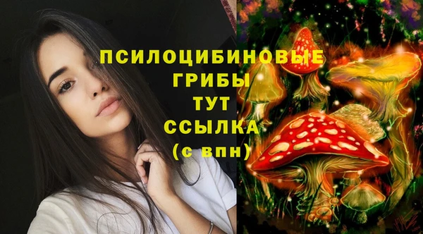 крисы Лиски