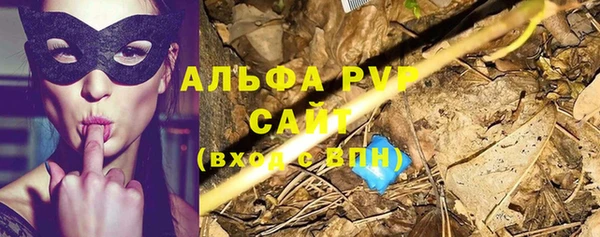 гашик Липки