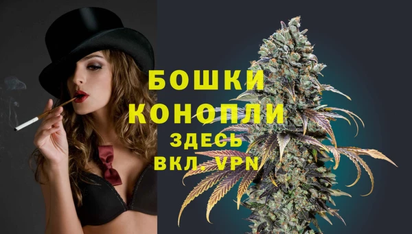 гашик Липки