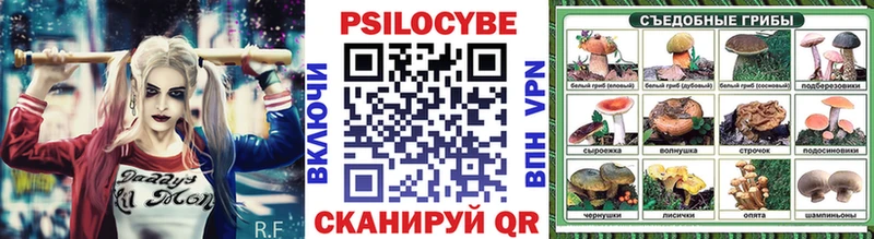 Купить закладки  Полысаево  Псилоцибиновые грибы мицелий 