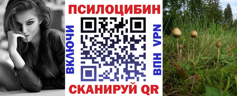Галлюциногенные грибы мицелий Полысаево